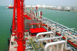 将来就业有优势的14大行业及所需专业解析