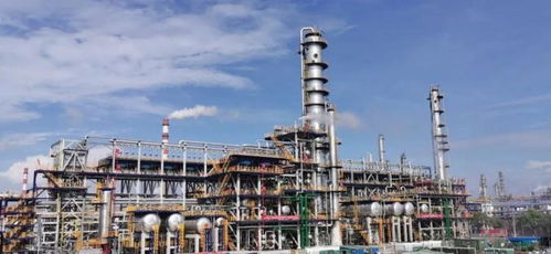 从黑白到彩色,是她近半个世纪的足迹