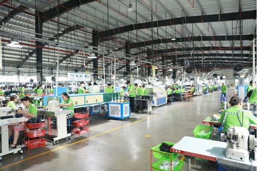 2023首届河南 睢县鞋博会将于10月21 23日举行