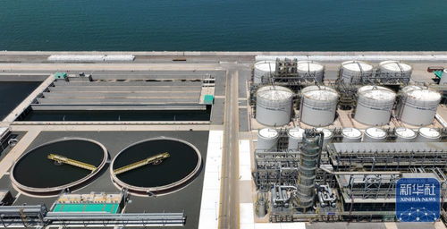 东北石化产业 减油增化 再造产业新动能