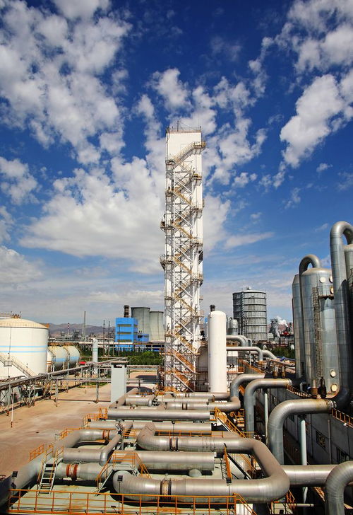 基础化工行业 把握确定性强的子赛道