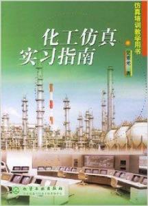 化工仿真实习指南