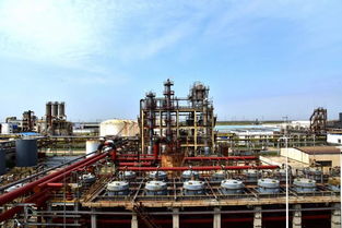 国内单套生产能力最大电解槽在聚隆化工试车成功